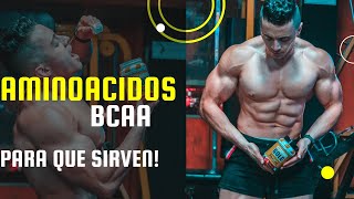 Aminoácidos bcaa Para Que Sirven [upl. by Ced]