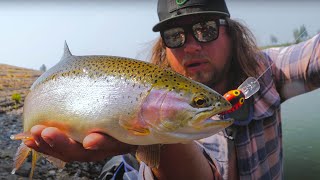 BEGINNERS Guide To Successful TROUT Fishing  3 Detailed Trout Tactics [upl. by Aneeg]