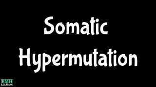 Somatic Hypermutation  In Vitro Somatic Hypermutation  SHM [upl. by Forsta]