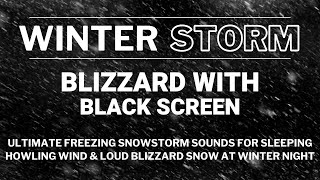 Ultimate Freezing Snowstorm Sounds for Sleeping  Howling Wind amp Loud Blizzard Snow at Winter Night [upl. by Releehw289]