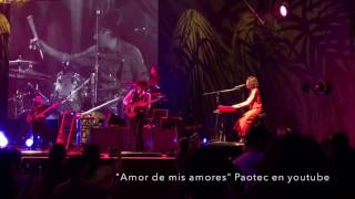 quotAmor de mis amoresquot en vivo Natalia Lafourcade Lima Perú 2017 [upl. by Akinhoj]