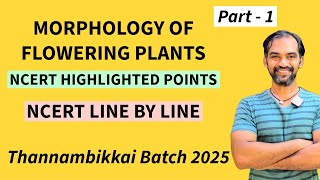 Morphology of Flowering Plants in Tamil  NCERT Highlighted points  TB 2025 [upl. by Drake]