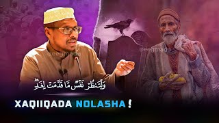 Muxaadaro Nolashaada raad ku reebi doonta 😭  Xaqiiqada Nolasha Aduunka  Sheekh Mustafe  eegmada [upl. by Denni]