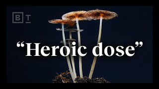 The “heroic dose” of psychedelics according to Johns Hopkins  Dr Matthew Johnson [upl. by Trebornhoj993]