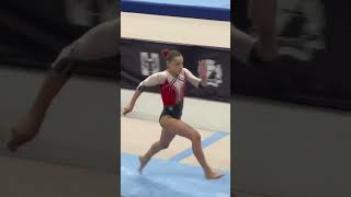 Vaulting to Victory The Perfect Leap [upl. by Kiersten]