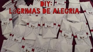 DIY Lágrimas de Alegria diário do casamento 7 [upl. by Helsell770]