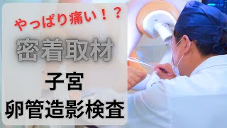 妊活【密着取材】第1弾！痛い？『卵管造影検査』に同行してみた！ [upl. by Ettenal174]