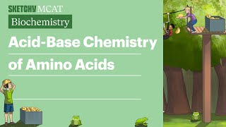 Acid Base Chemistry of Amino Acids  Sketchy MCAT Biochemistry [upl. by Alset85]