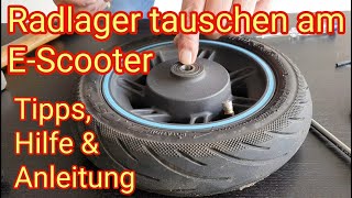 Radlager tauschen am EScooter  Ninebot Max G30D 2 Xiaomi Streetbooster Trittbrett VMax [upl. by Aserat]