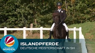 Deutsche Islandpferde Meisterschaft in Ehndorf bei Neumünster [upl. by Rust]