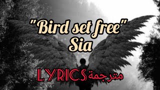 SiaquotBird set free quotlyrics مترجمة [upl. by Owena]