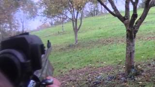 2013 11 17  chasse au grand gibier  sanglier biche daguet [upl. by Assertal]