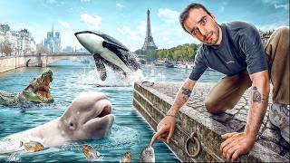 Les pires animaux retrouvés dans la Seine [upl. by Gayl]