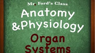 Introduction To Anatomy Physiology Organ Systems 0104 [upl. by Tarrah]