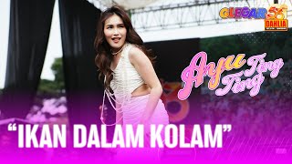 AYU TING TING  IKAN DALAM KOLAM  LIVE PERFORM 53 TAHUN DAHLIA [upl. by Anyrak]