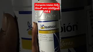 isabion syngenta uses in telugutrendingshortsagriculturefarmersyngenta isabion teluguviral [upl. by Gertrudis]