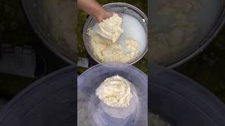 Yummy 😋 Butter 🧈 Process village villagelife cooking yt viralvideo ytshorts shorts [upl. by Wichern]