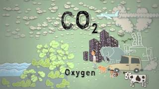 Climate Science in a Nutshell 4 Too Much Carbon Dioxide [upl. by Euhsoj]