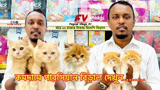 কমদামে পারসিয়ান বিড়াল  কাটাবন persian cat price in Bangladesh  Katabon Foysalvlogs21 [upl. by Werner973]