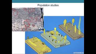 The Ediacaran Period Glimpses of the Earths Earliest Animals [upl. by Nerok]