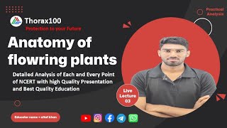 Anatomy of flowering plants Lecture 03 for Class 11 amp NEET Thorax100 [upl. by Layod742]