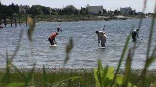 West Island Ma Quahogging Round Cove [upl. by Anaidirib929]