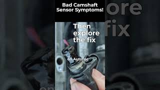 Bad Camshaft Sensor Problems [upl. by Engapmahc]