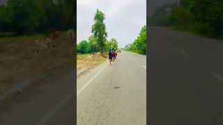 पेसरनिंग🏃 sports army viralvideo shorts [upl. by Grath900]