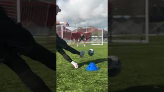 Satisfatório goleiro futebol goalkeeper football [upl. by Nagah]