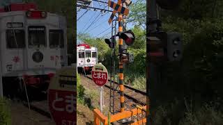 Strawberry train passes near Oike yuuen Wakayama Japan [upl. by Baker]