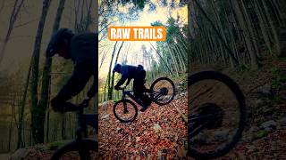 Another raw trail from jenbach tal jenbachtal enduro santacruz rawtrails [upl. by Padriac]