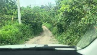 Tanay tree planting site Drs Matignas Small House [upl. by Bysshe]