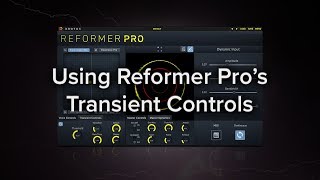 Using Reformer Pros Transient Controls [upl. by Eerol878]