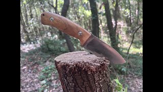 Lionsteel M3 Personale di Molletta  Presentazione coltello e Field Test [upl. by Norby265]