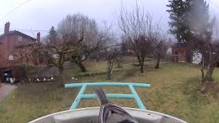 A Blackcapped Chickadee at a Netvue Birdfy Smart Bird Feeder [upl. by Novikoff]