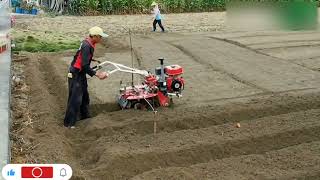 Land cultivator agriculture machine  best power tiller foryou viralvideo [upl. by Latoye]