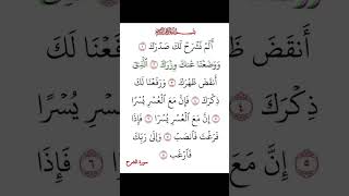 Surah insirah ☝️🕋🥀🩷 surrah beautiful qurantilawah quranicsurahs urdu inshirah [upl. by Ricardo]