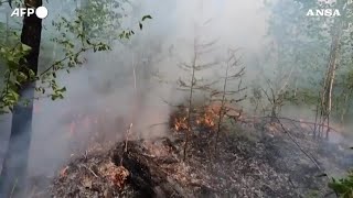 Siberia incendi in Yakuzia devastano oltre 15 milioni di ettari di taiga [upl. by Boonie748]