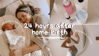 24 hours after home birth  postpartum recovery  a full day with a newborn [upl. by Cyrill205]