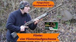 FangschussBeschusstest Teil 2 Flinte – vier Flintenlaufgeschosse von Brennecke auf kurze Distanz [upl. by Kamin892]