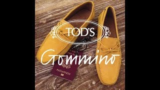 Tods Gommino [upl. by Olegnalehcim]