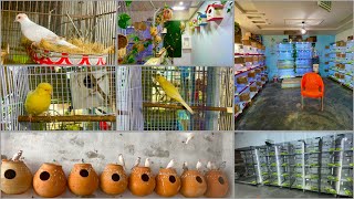 Lovebirds breeding setup  Blue Gouldian and Exotic Finches breeding setup  canary finch and Java [upl. by Sissel]