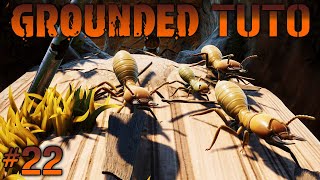 TUTO  GUIDE  GROUNDED 22 LA PUCE DE LA TERMITIÈRE amp LE BOSS  LE ROI TERMITE [upl. by Jewel]