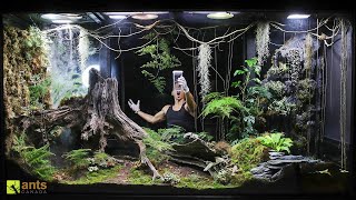 I Released an Apex Predator into My Giant Rainforest Vivarium [upl. by Ramos381]