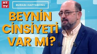 Kadın ve erkek beyni nasıl çalışır Prof Dr Sinan Canan anlatıyor [upl. by Tnek]