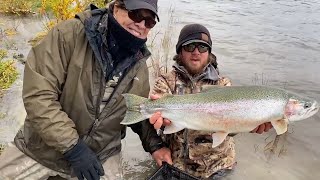 WOW 33quot Trout  Naknek River Camp in Alaska [upl. by Bohman]