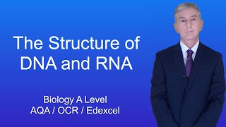 A Level Biology Revision quotThe Structure of DNA and RNAquot [upl. by Felske]