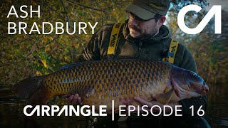 CARP FISHING  CARP ANGLE 16  EPIC HAUL OF BIG CARP  ASH BRADBURY [upl. by Aleen]