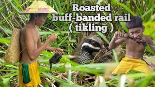 Catching Roasting and Eating Buffbanded rail  Tikling  in traditional way [upl. by Enelyad]