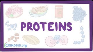 Proteins [upl. by Briney]